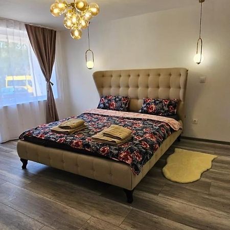 Escape Residence Vişeu de Sus Εξωτερικό φωτογραφία