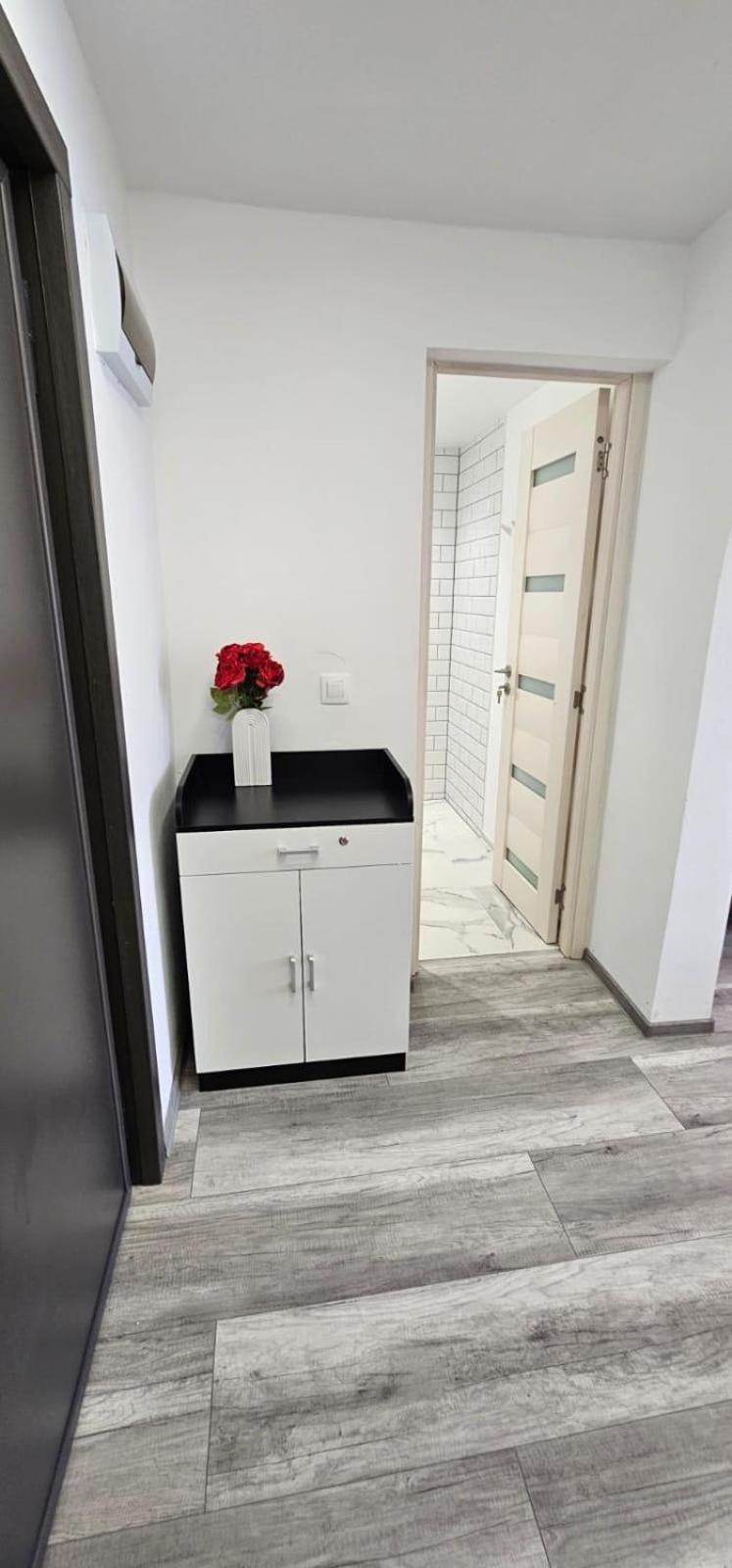 Escape Residence Vişeu de Sus Εξωτερικό φωτογραφία