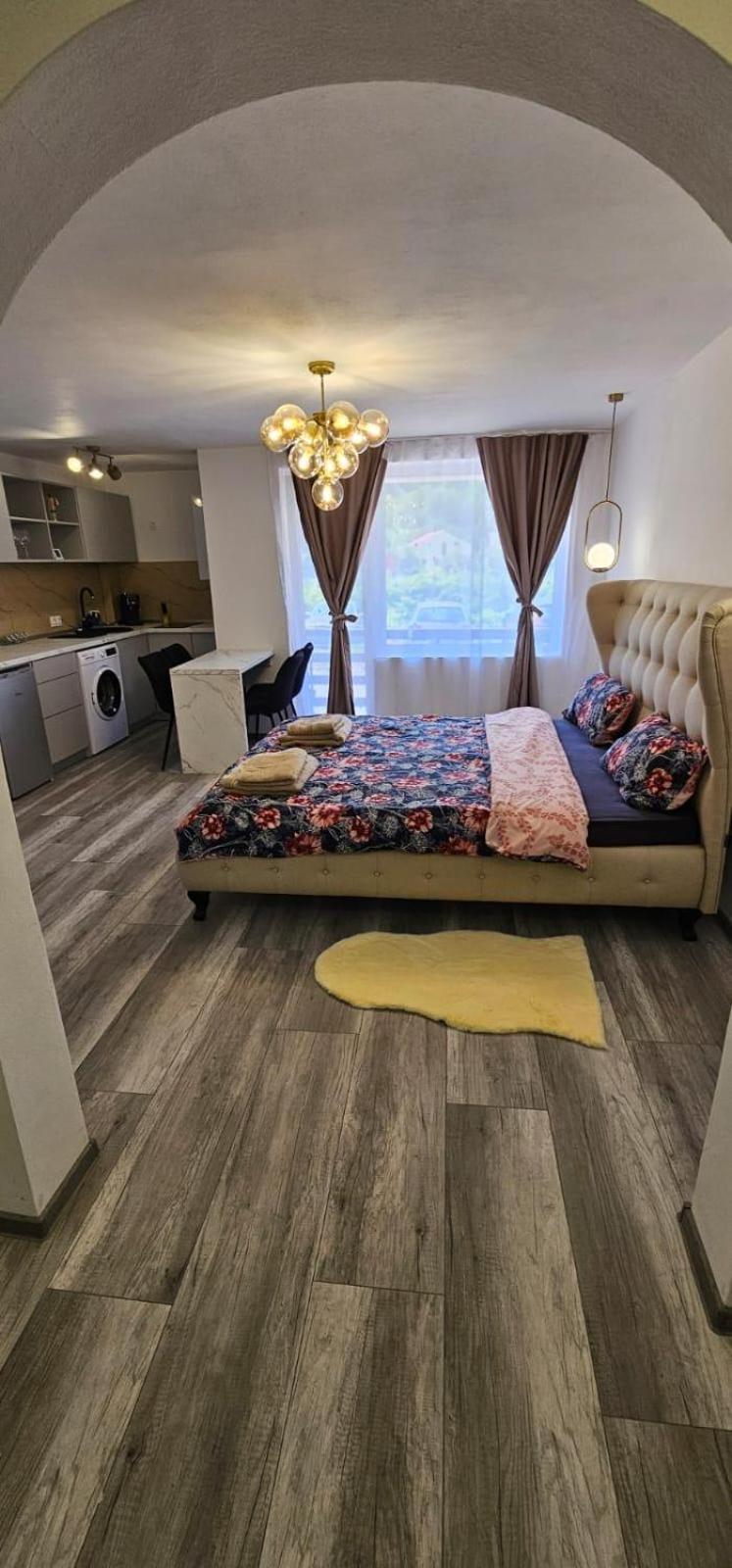 Escape Residence Vişeu de Sus Εξωτερικό φωτογραφία